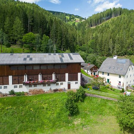 Vila Hochfelner-Prutti - Stockerhof Sankt Marein bei Knittelfeld Exteriér fotografie