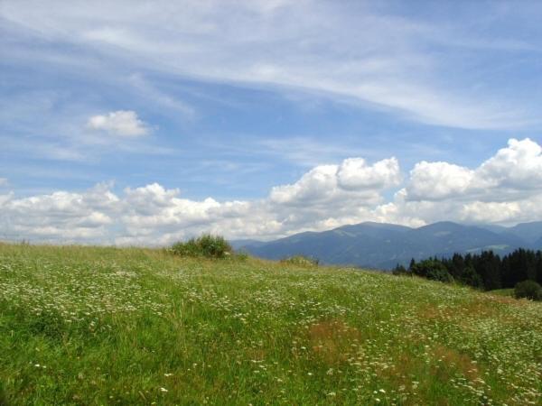 Vila Hochfelner-Prutti - Stockerhof Sankt Marein bei Knittelfeld Exteriér fotografie