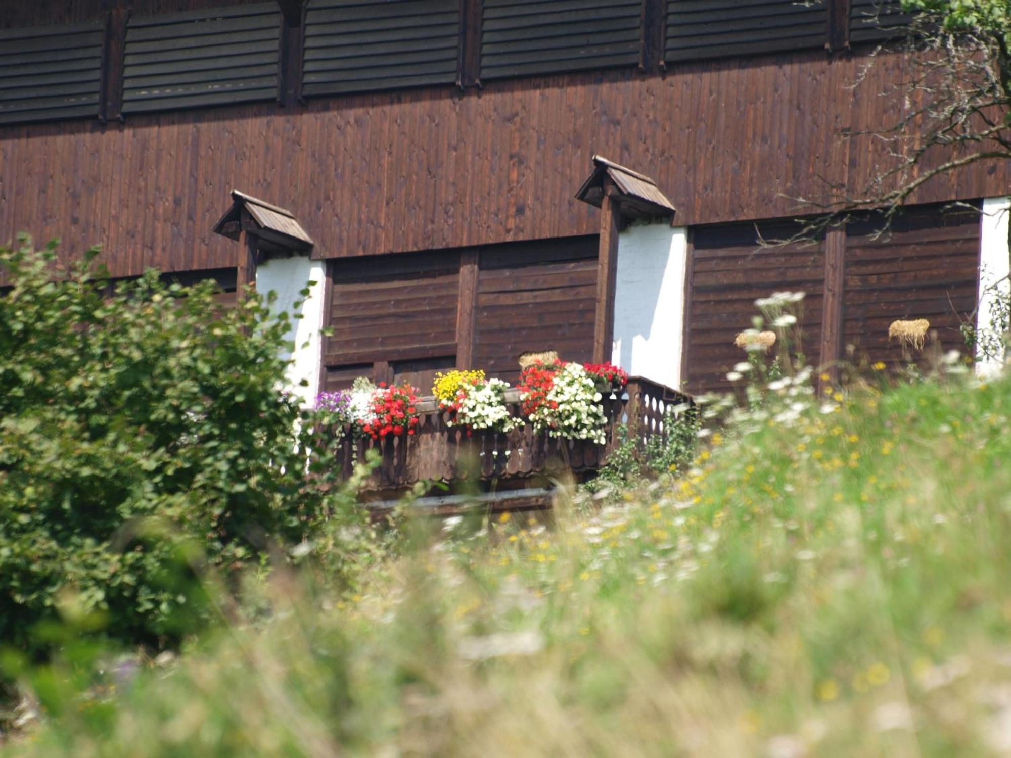 Vila Hochfelner-Prutti - Stockerhof Sankt Marein bei Knittelfeld Exteriér fotografie